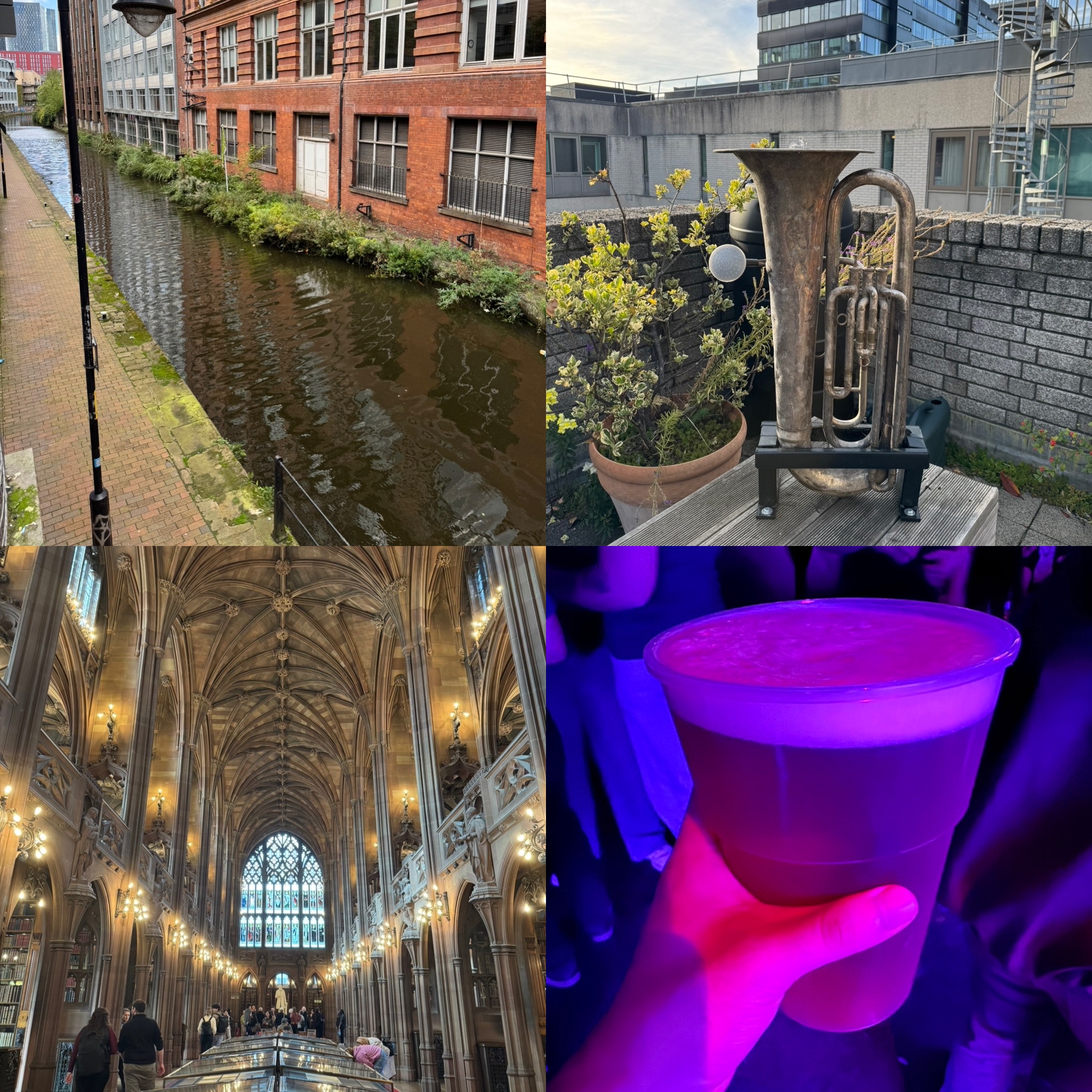 Collage for 2026-09-25